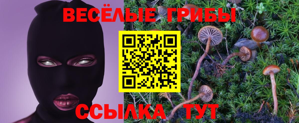 Галлюциногенные грибы мухоморы Свободный